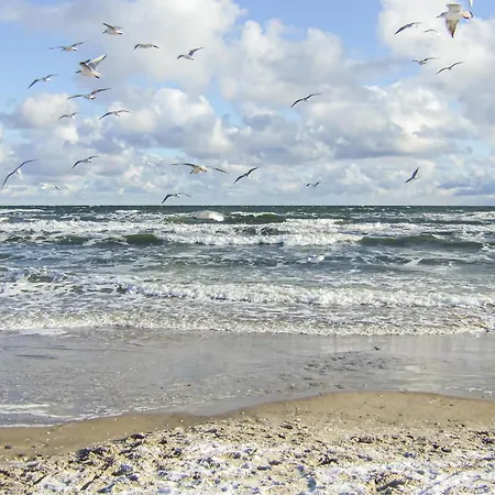 Amazing In With Kitchen 펜션