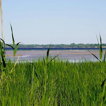 펜션 Amazing In With Kitchen